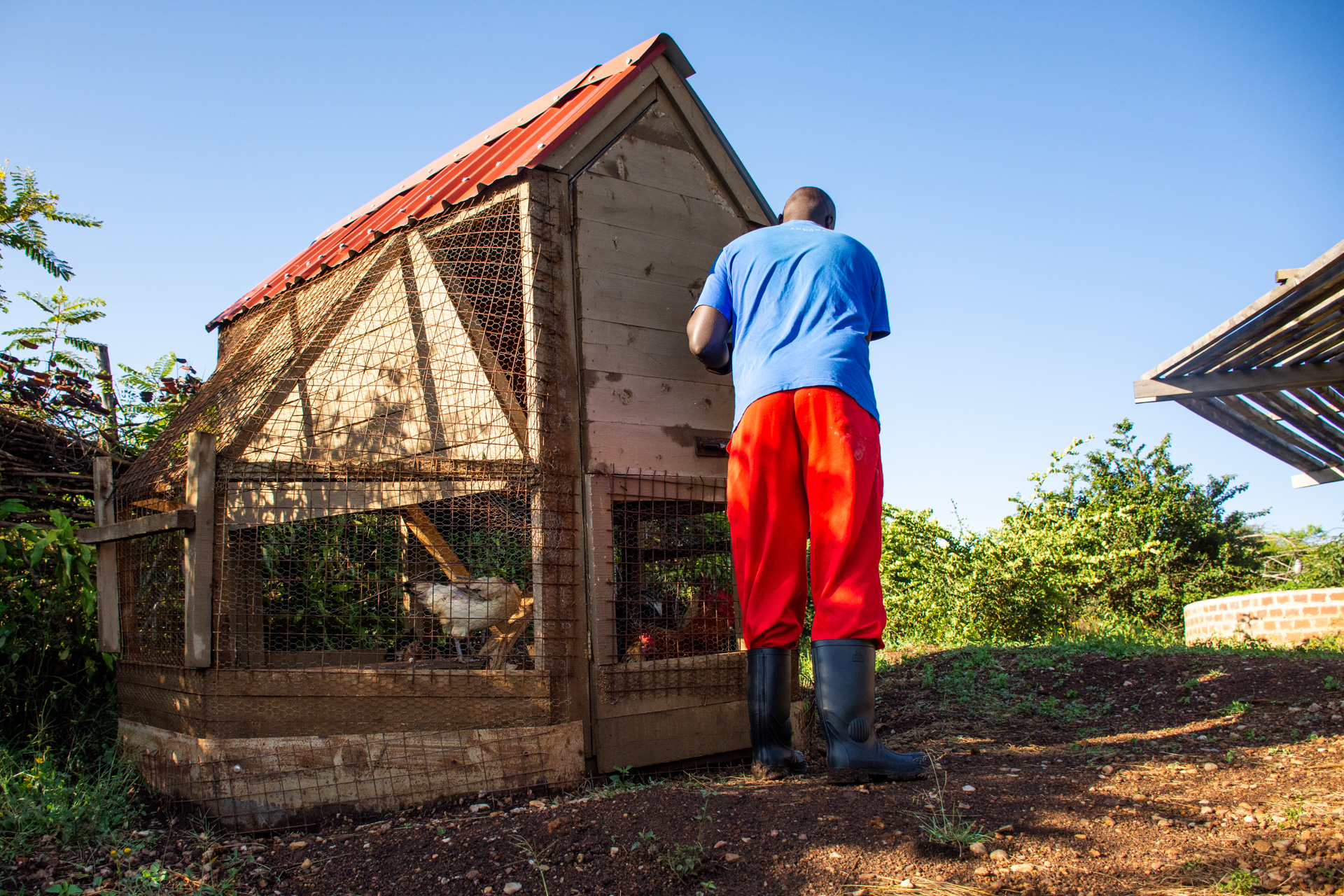 Chicken coop