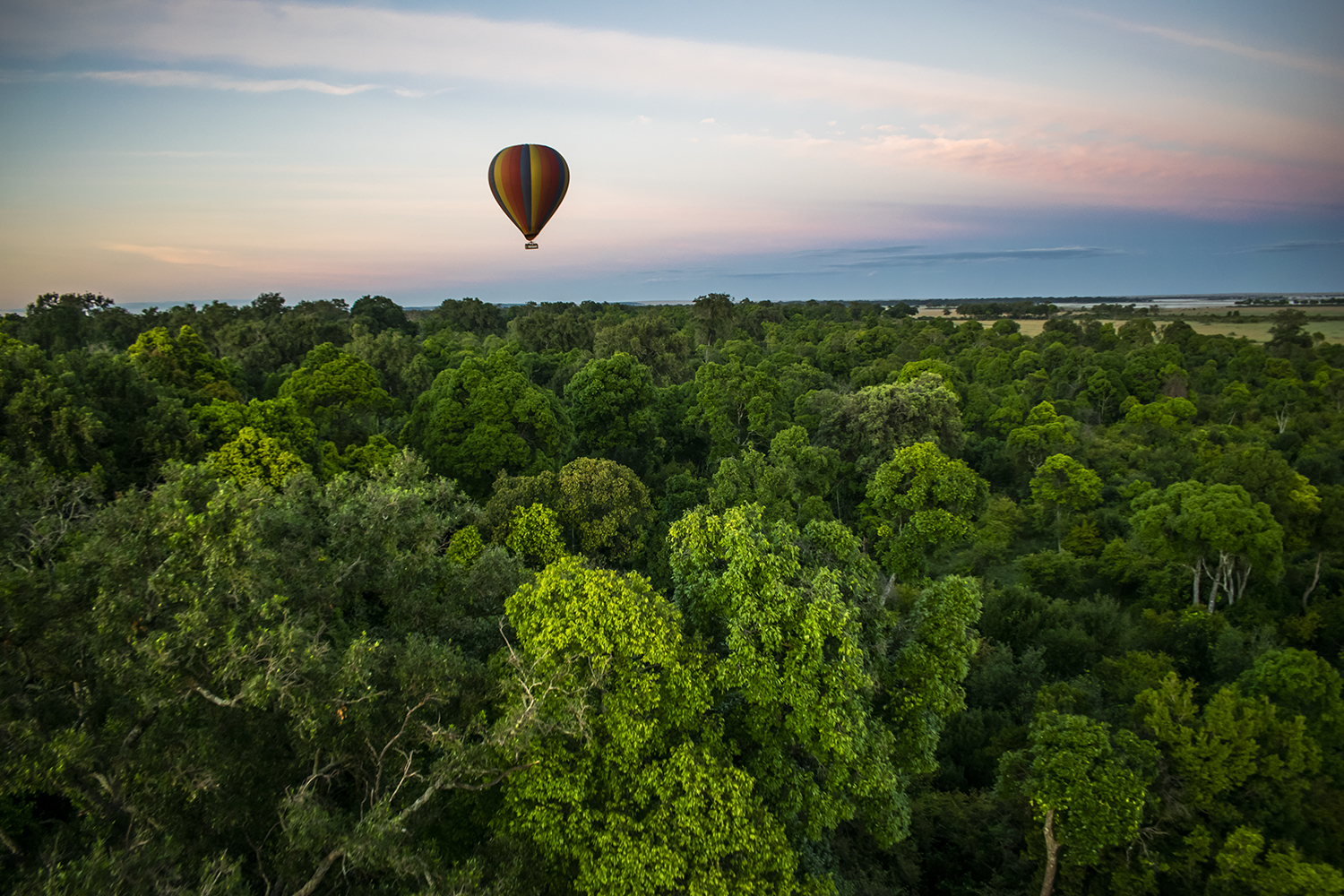 Hot Air Balloon Forest View Maasai Mara