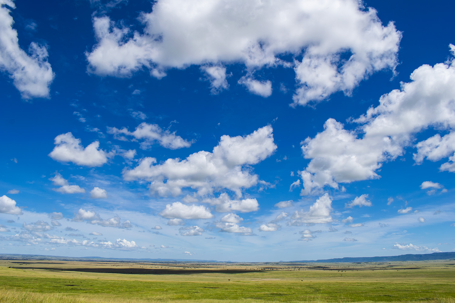 Maasai Mara Landscape boader