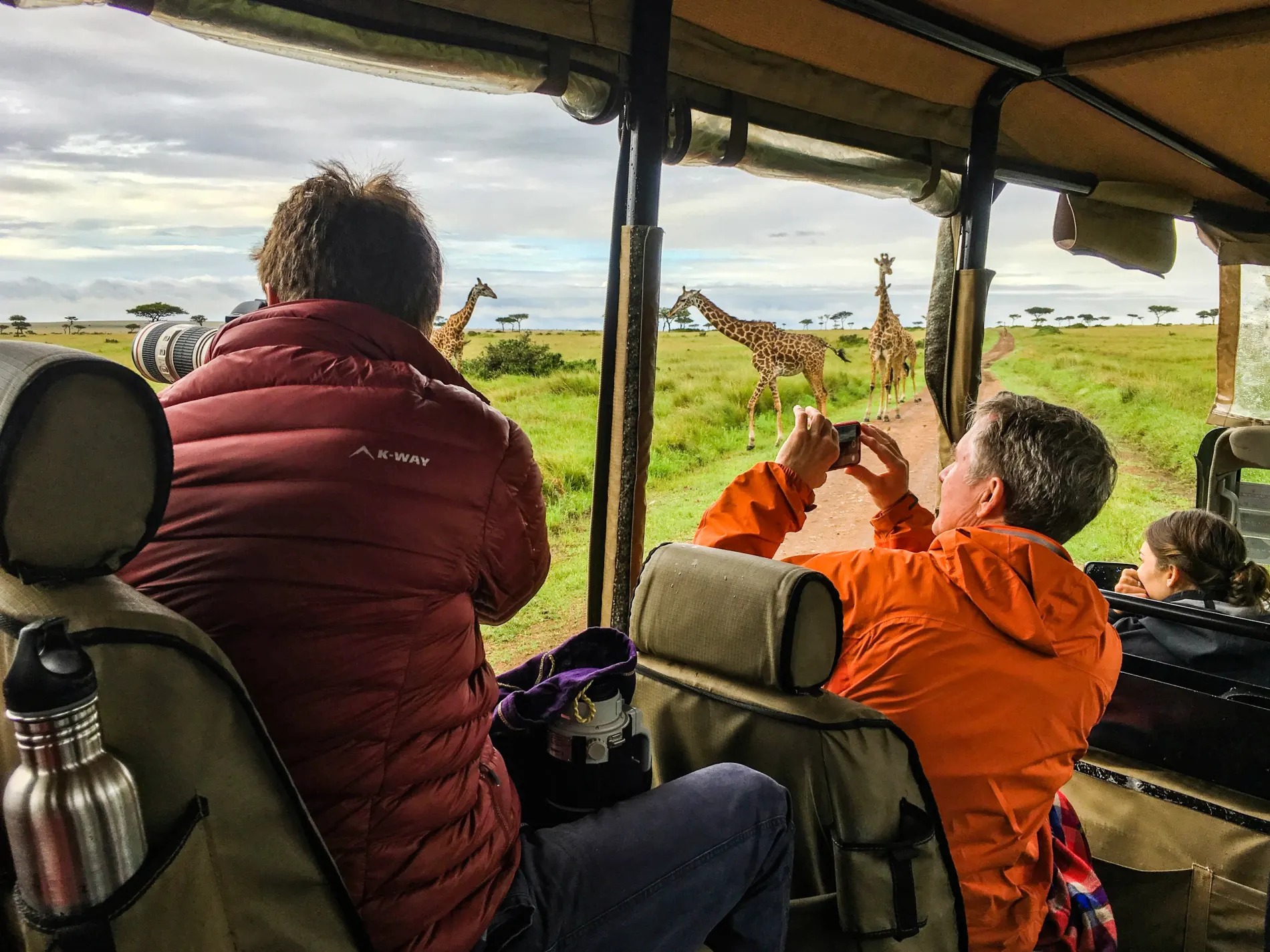 Taking pics of giraffes