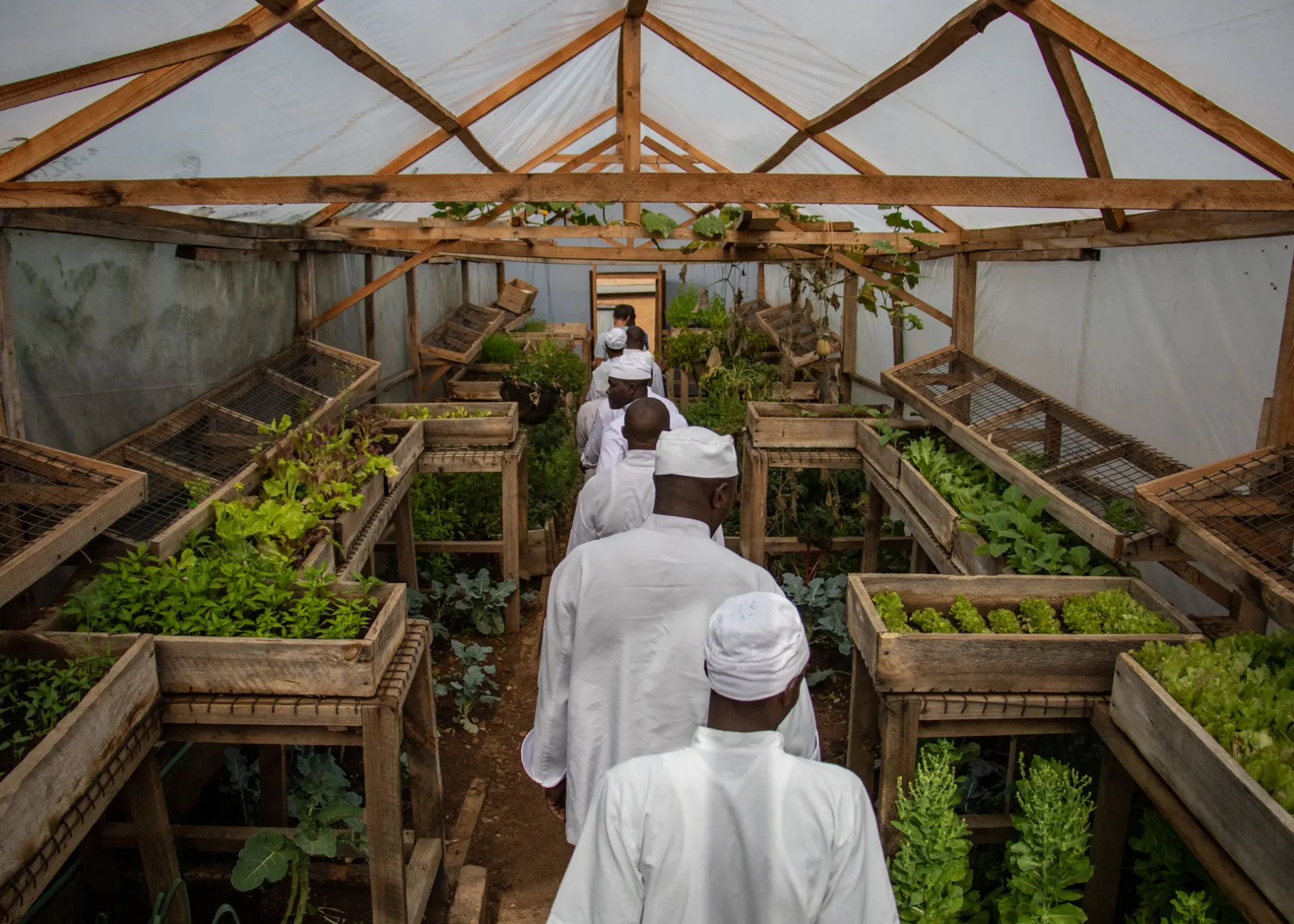 Chefs in the Green House