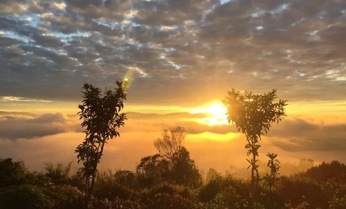 Sunrise from Virunga Mountain Lodge