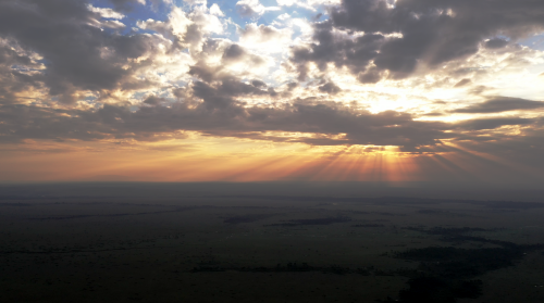 Dawn breaks over the Maasai Mara. Photograph by Adam Bannister