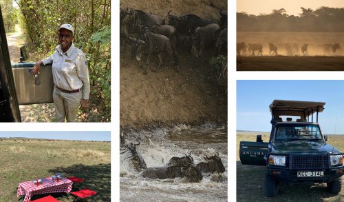 Migration and picnics, all in a days work on Safari with Sophie