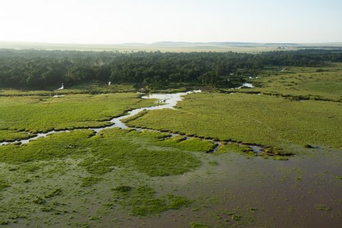 A rather waterlogged area along the banks of the Mara River last year