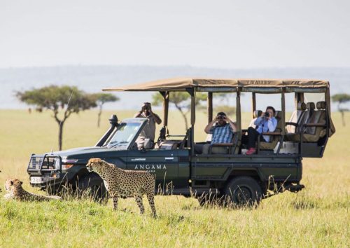 Safari Photography | Angama Mara Photo Gallery