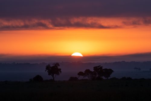 A spectacular golden sunrise in the Mara Triangle 