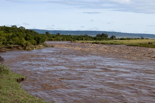 Mara River Main Crossing, 28 April 2020