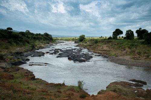 The Mara River, healthily flowing yet not as full as recent months