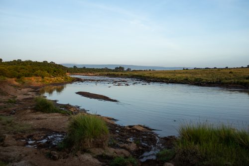 Mara River Main Crossing, 26 January 2021