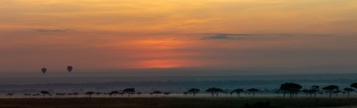 Balloons drifting along the Mara dawn