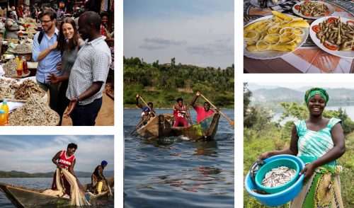 Delicious fresh fish from Lake Kivu, a staple for many 