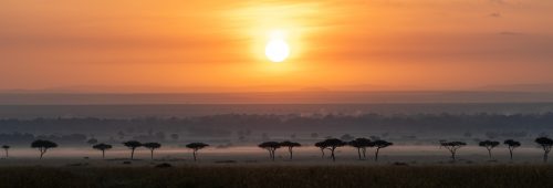 A beautiful sunrise panorama