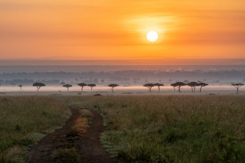 A dirt track at sunrise welcomes a year of discovery and adventure