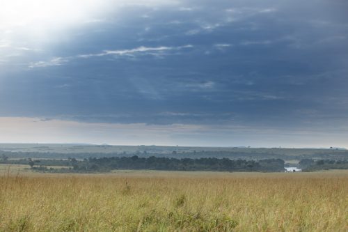 A typical Mara landscape