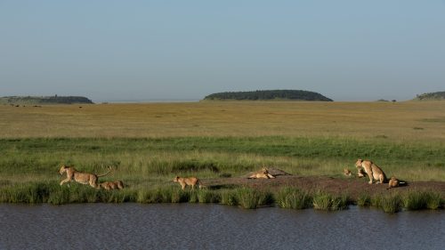 The Egyptian Pride rest at Egyptian Dam