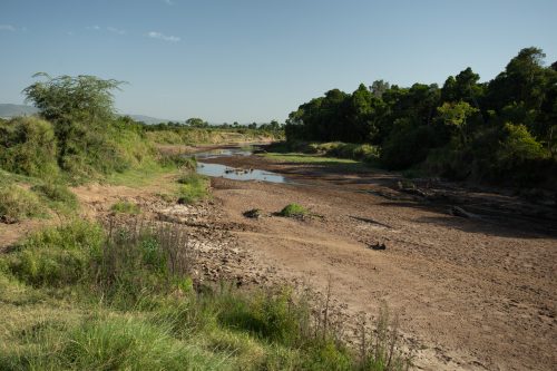  Mara River empty - 5 February 2021
