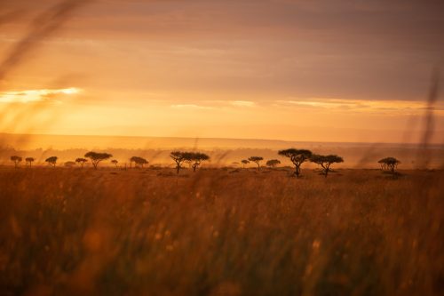 Magnificent morning light on the open plains of the Mara Triangle