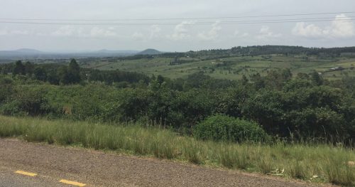 Watching the Countryside fly by in transit