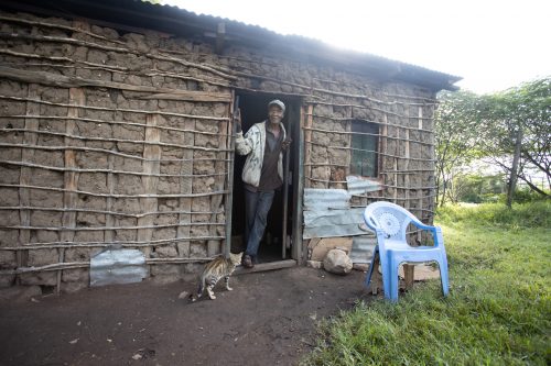 A nearby homestead where 6 dogs and 4 cats were vaccinated