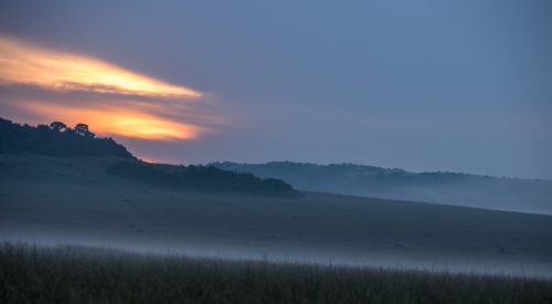 A thin layer of mist cloaks the grasslands
