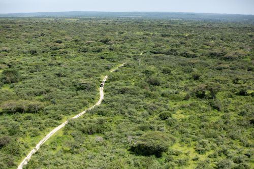 A lone vehicle navigates the vast wilderness area