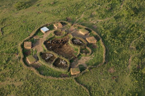 A ‘Manyatta' - a traditional Maasai homestead