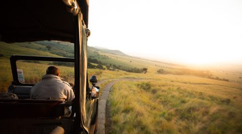 Early morning game drives in the Maasai Mara 
