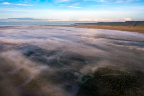 A blanket of fog gently coats the Mara Triangle