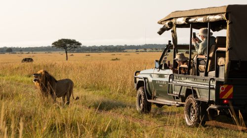 Exploring the lions of the Mara Triangle