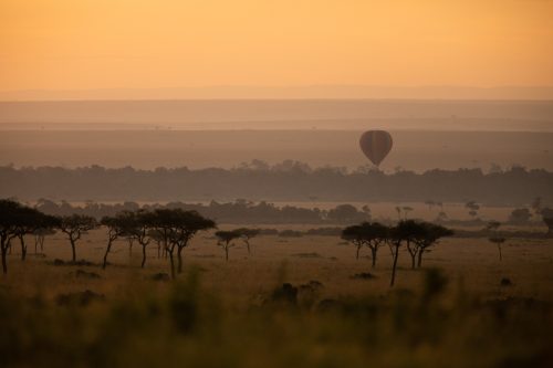 A hot air balloon floats effortlessly along the Mara River