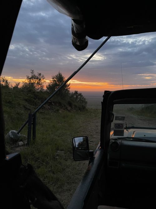 Heading into the park at first light