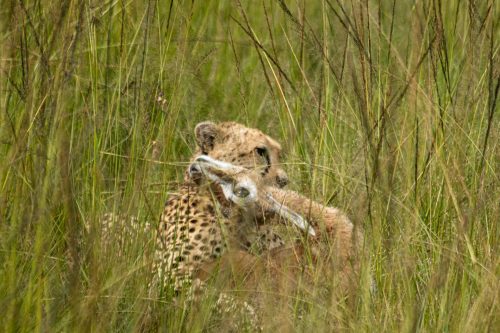 Romi grabbed some lunch