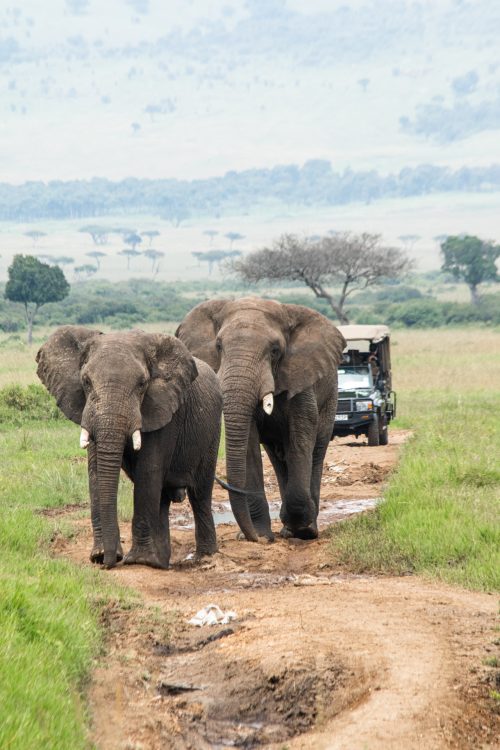 The Mara Triangle roadblocks