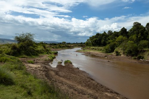 Looking upstream from Hippo Pools
