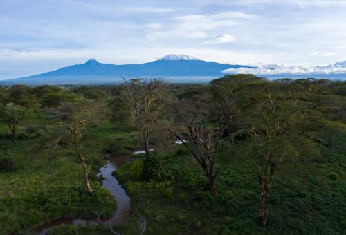 The view of Kili from within Kimana Sanctuary | photo: Jeremy Goss