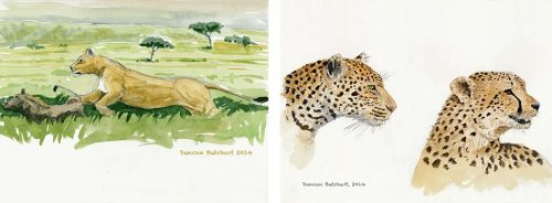 Painting was one of the many ways that he documented what he saw and learnt on safari