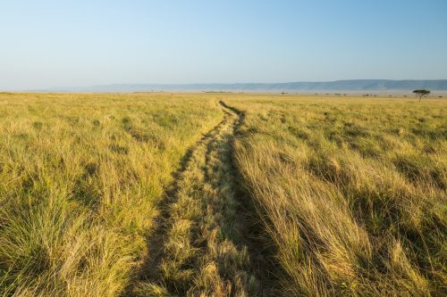 The roads are in great shape thanks to the effort of the Mara Conservancy 