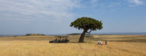 Above: Enjoying the quiet moments of the Mara