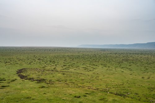 From the sky, one is able to see the patterns and shapes the herds make as they move 