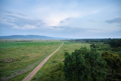 From emerald to electric, there are endless shades of green in the Mara
