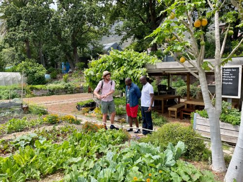 Ian walks the guys through the Oranjezicht City Farm — a non-profit project celebrating local food, culture and community 