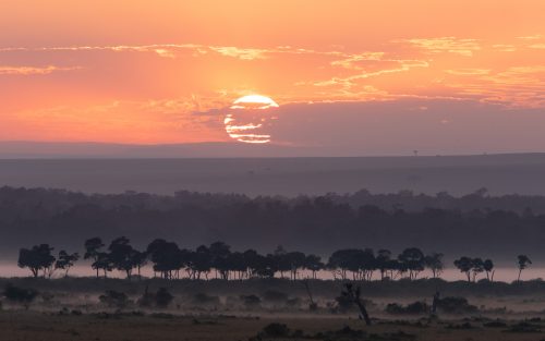 The sun rises and another beautiful November day starts in the Mara 