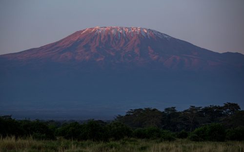Mount Kilimanjaro blushing in the morning light 