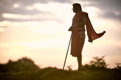 Fred, one of our Maasai guides, stands tall and proud looking out over the Mara 
