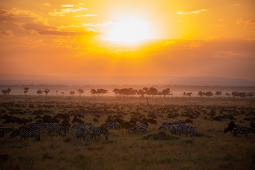 The sun rises over Eden — also known as the Mara Triangle 