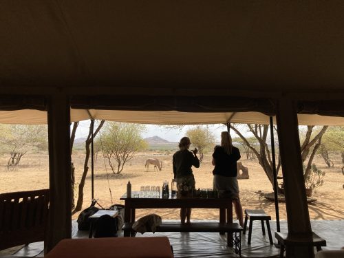 Looking out onto the waterhole infront of Tumaren Camp