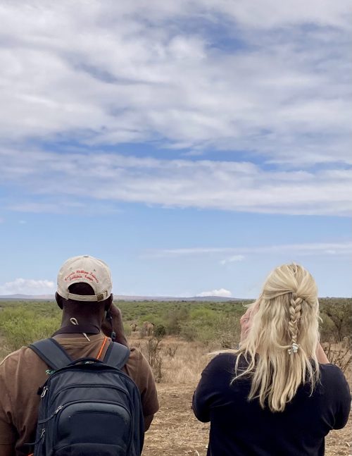 Watching elephants on foot is an a totally unique experience