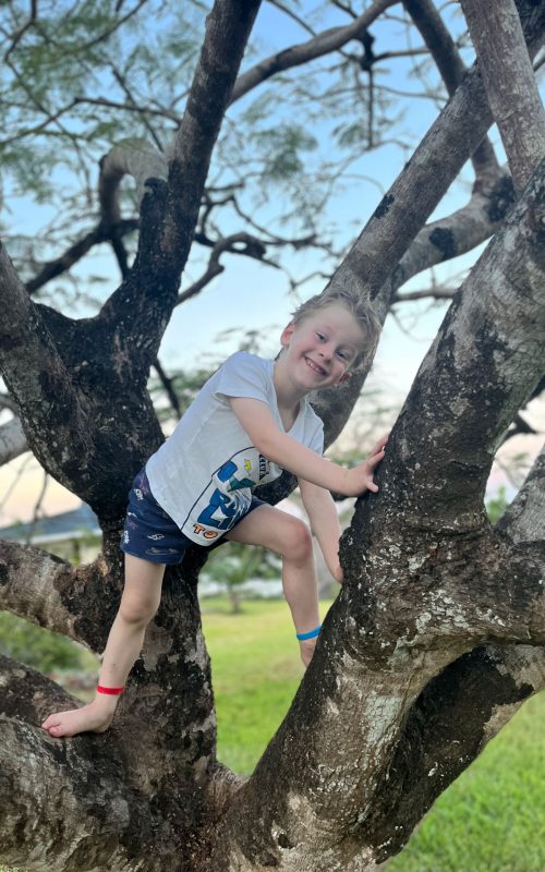Climbing trees may run in the family