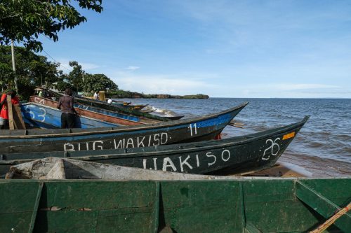 Fishing on Lake Victoria is still an essential way of feeding many of Entebbe's citizens 